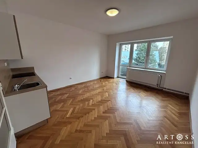 Pronájem bytu 1+kk, 22 m², Brno-město, Brno